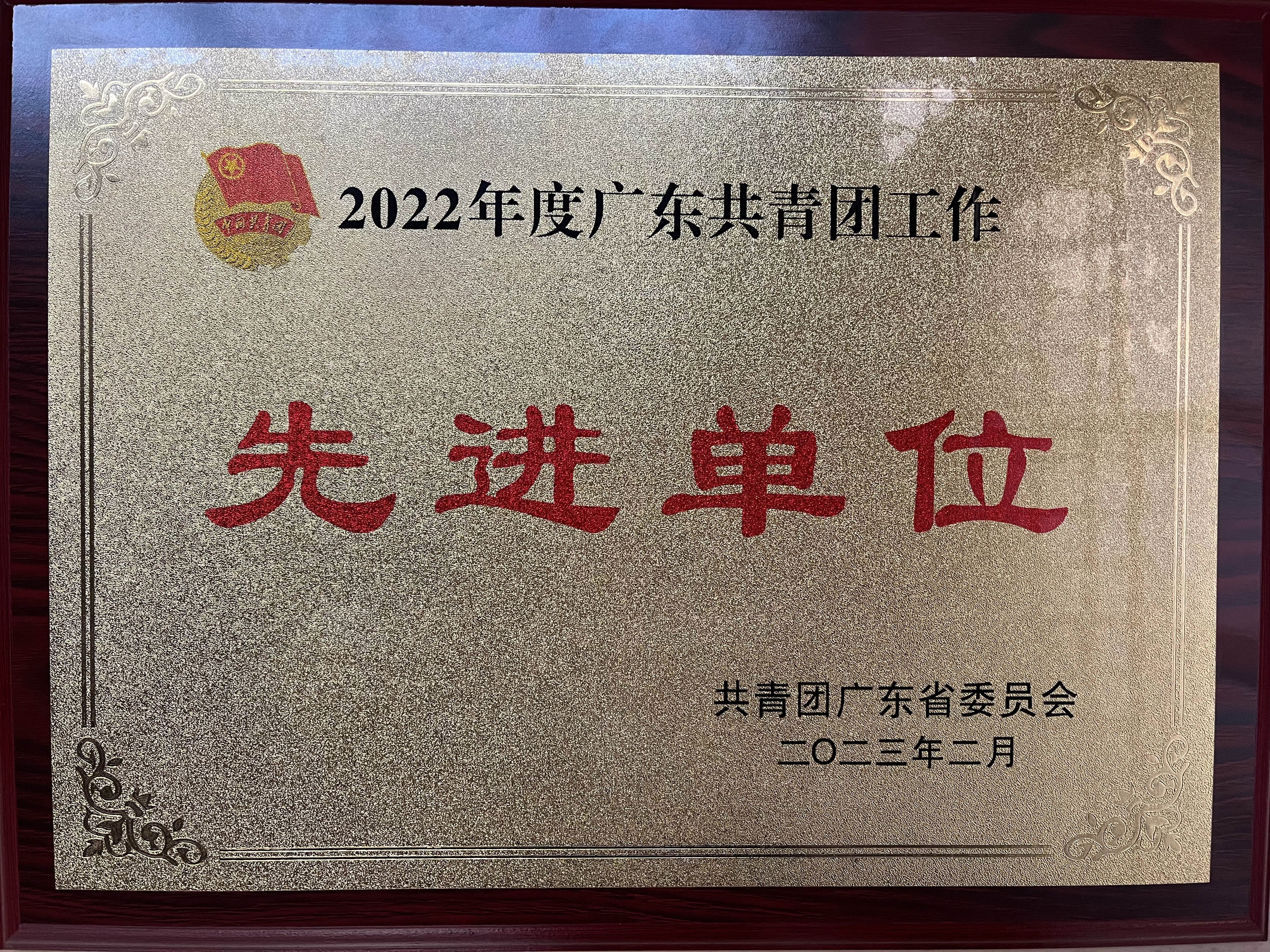 学校荣获2022年度广东共青团工作先进单位.jpg