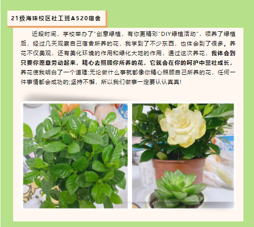 绿植感悟