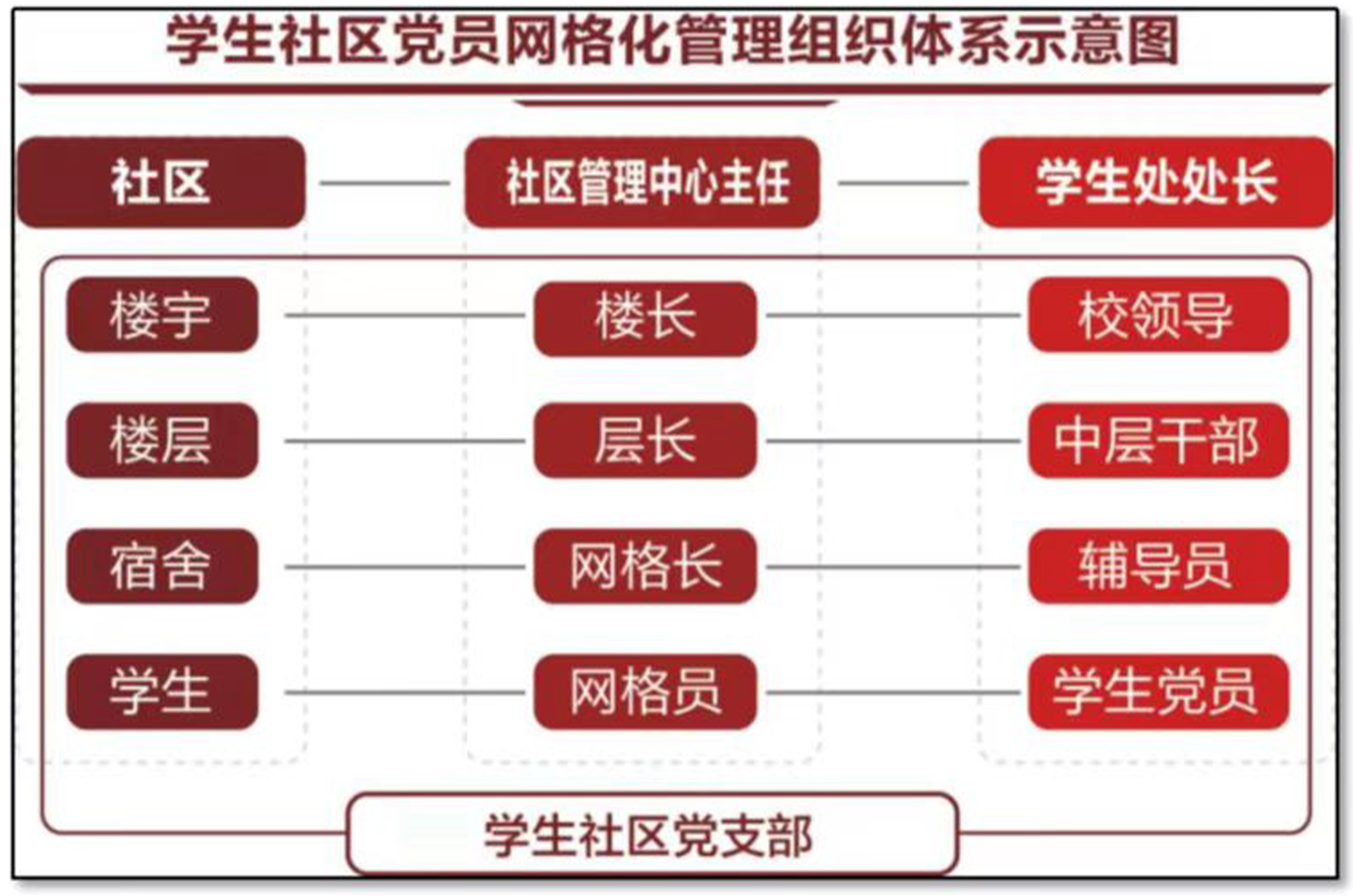 学生社区党员网格化管理组织体系示意图.png