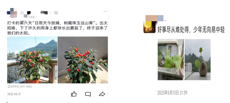 “绿色心情，健康生活”绿植领养活动2.png