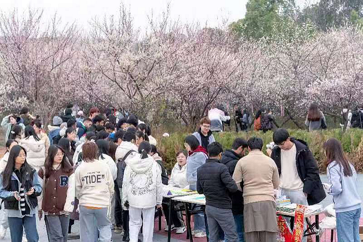 赏梅花 谢永煌