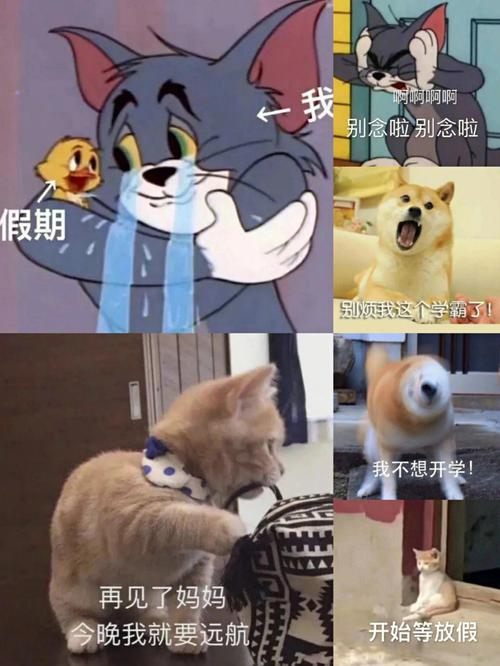 图片2.png