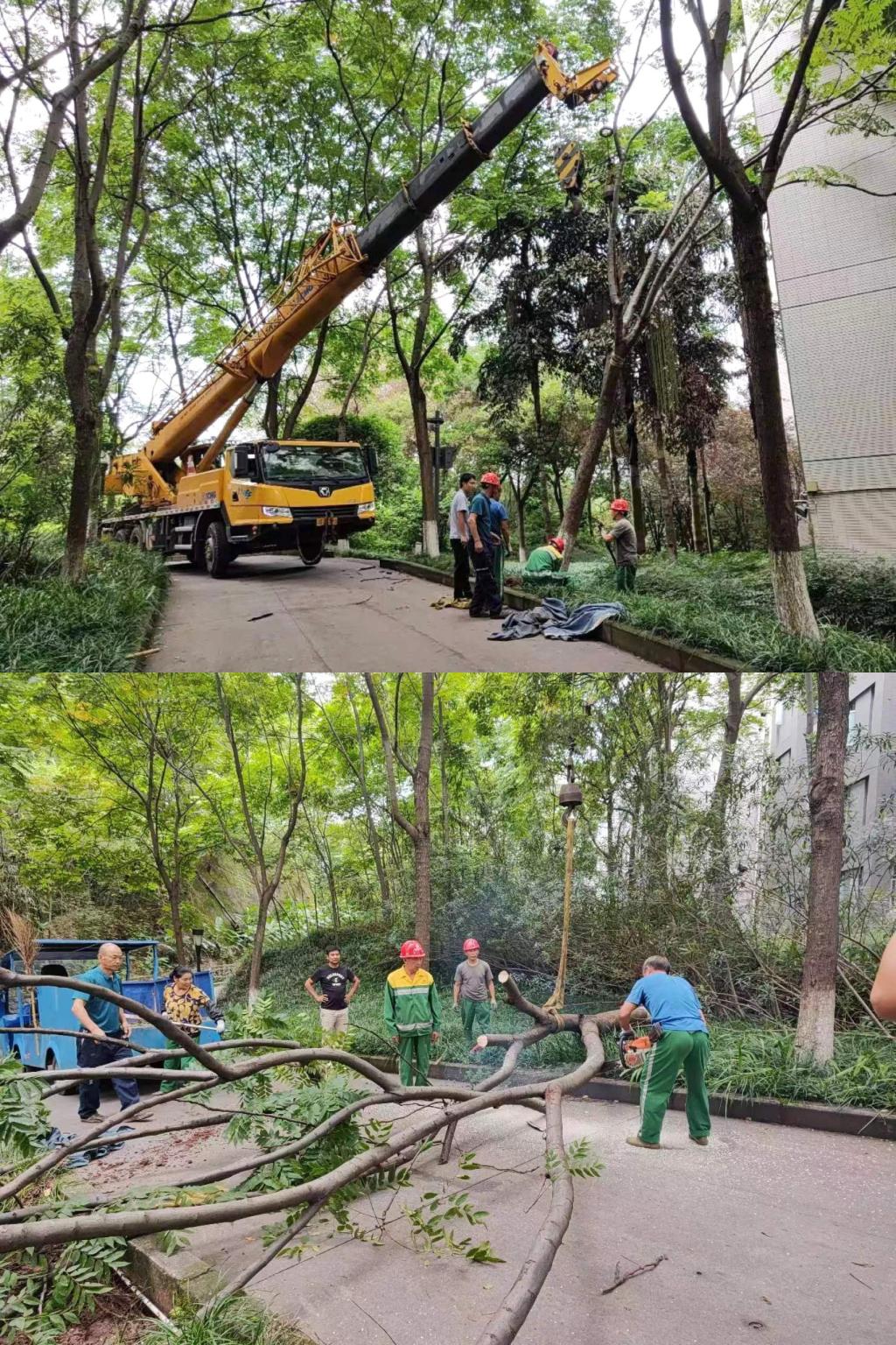 道路清障排危.jpg 道路清障排危.jpg