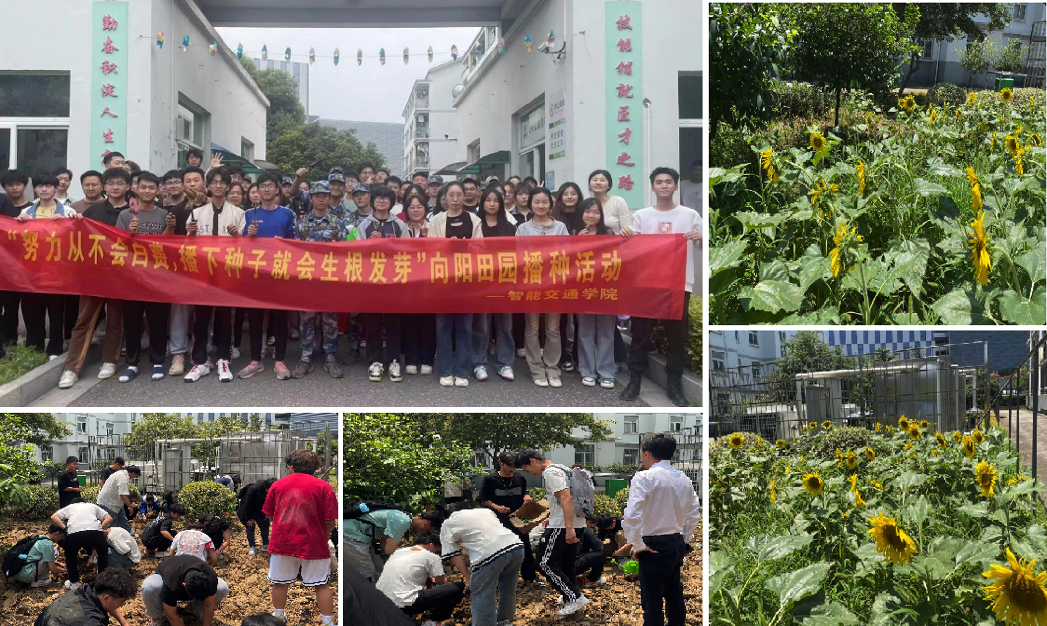 “努力不会白费 播下种子就会生根发芽” 红苗公寓“一站式”学生社区向阳田园种植活动.png