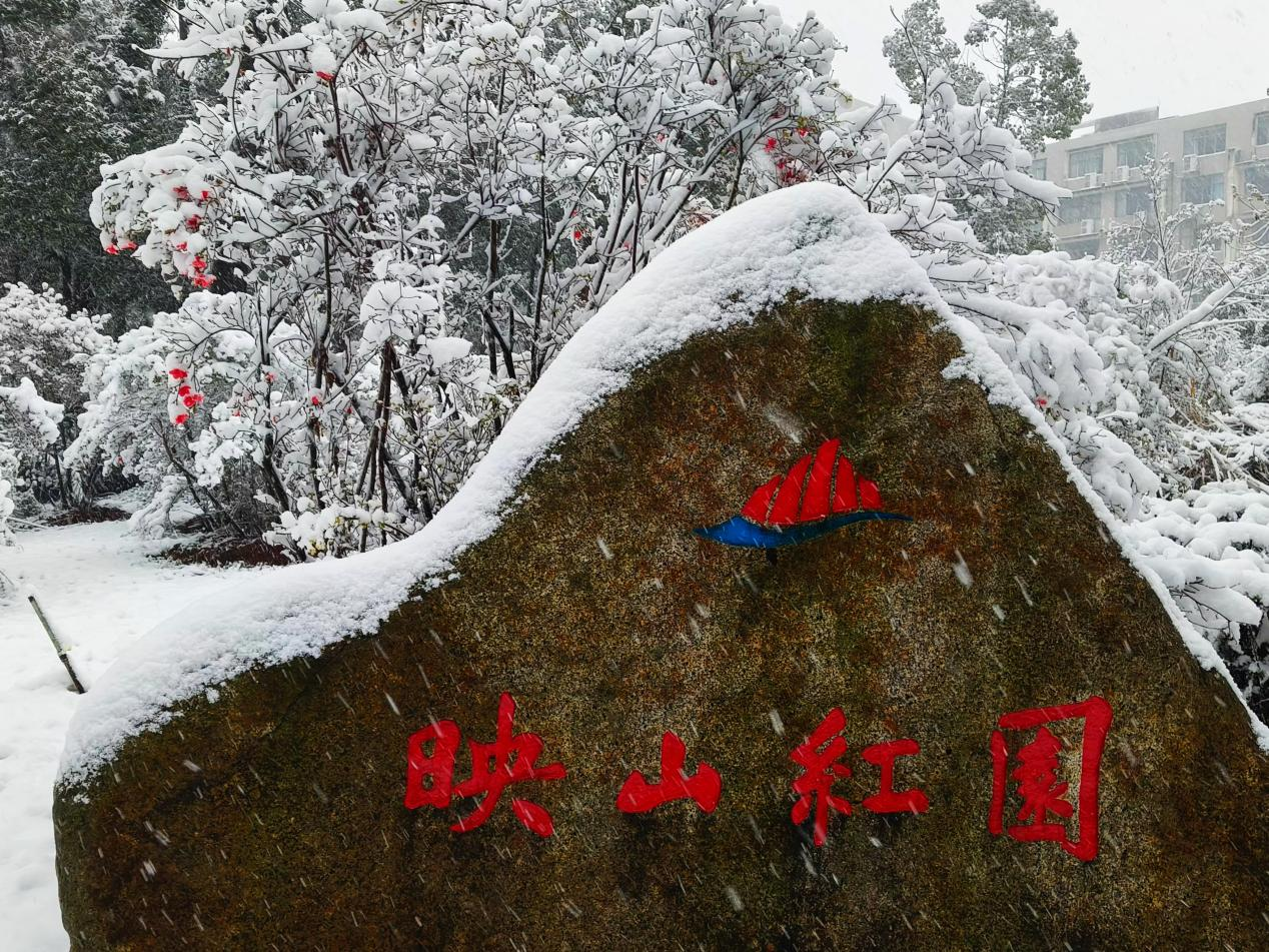 图为雪景下的映山红园的石碑。