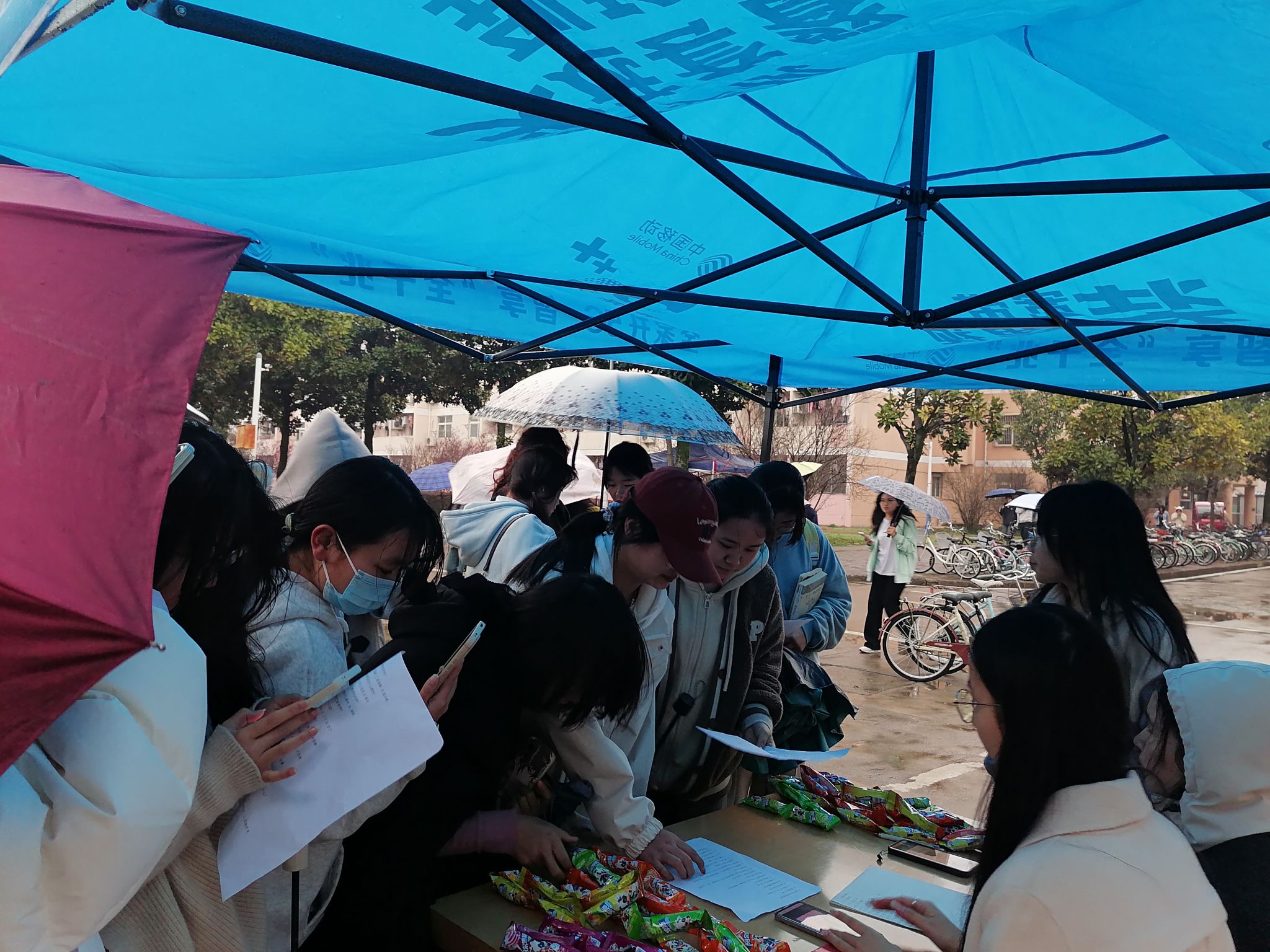 会反光,所以看起来是红色的 ",2023 级生物科学类 4 班的冯媛媛说,向