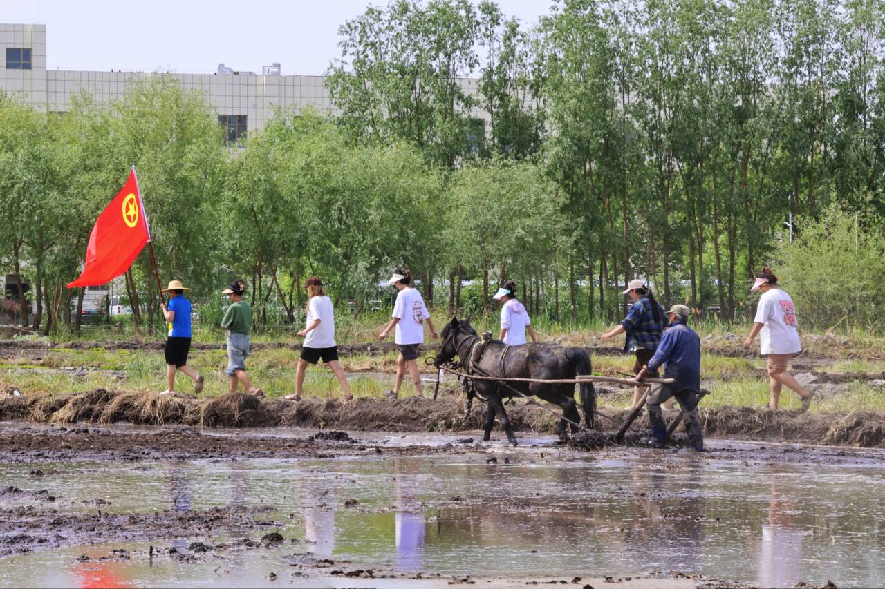 052003.jpeg 052003.jpeg