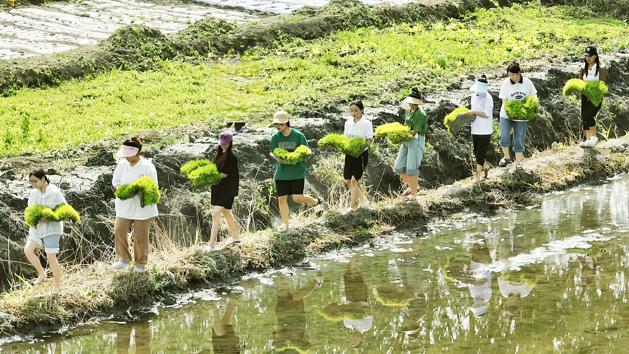 052004.png 052004.png