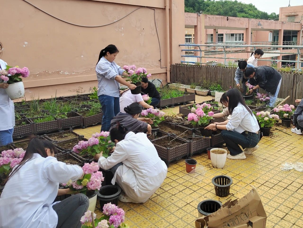 植物栽培.jpg