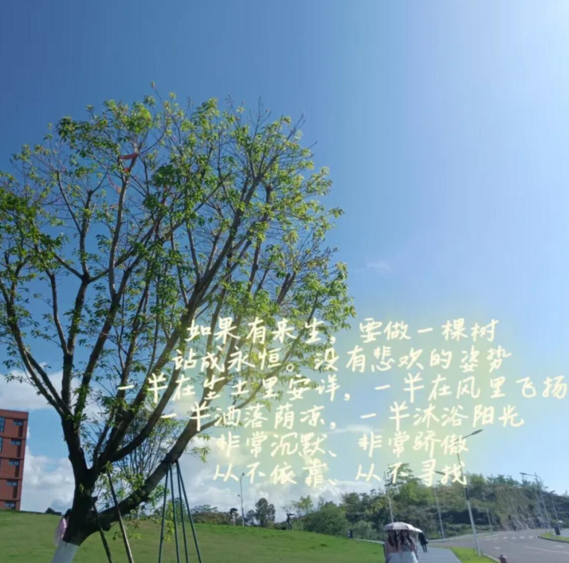 通知书5.jpg