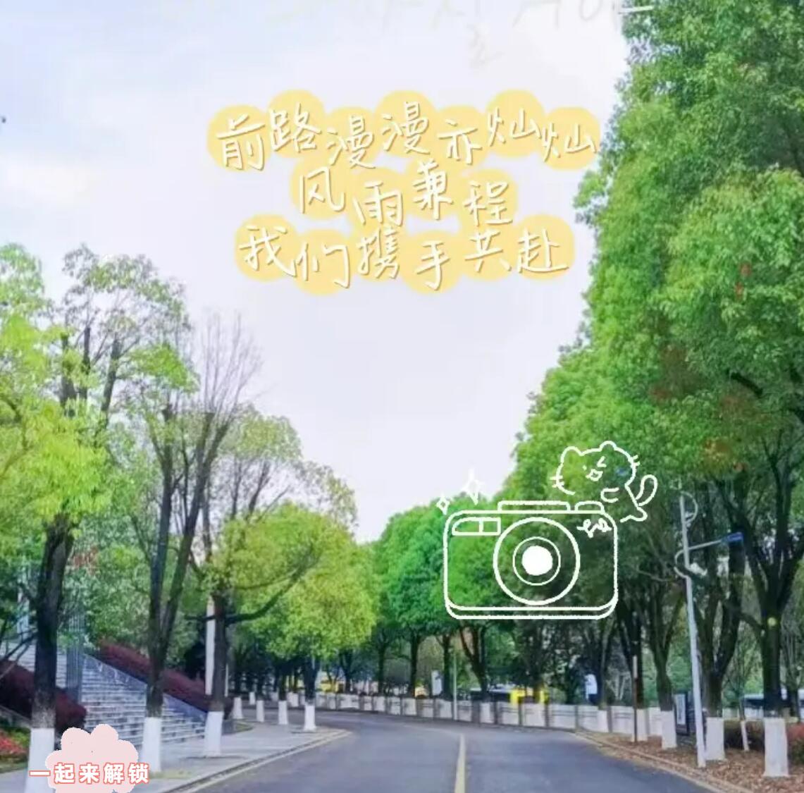 通知书6.jpg