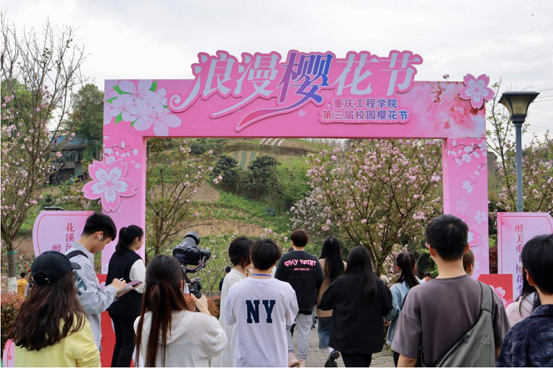 樱花2.png