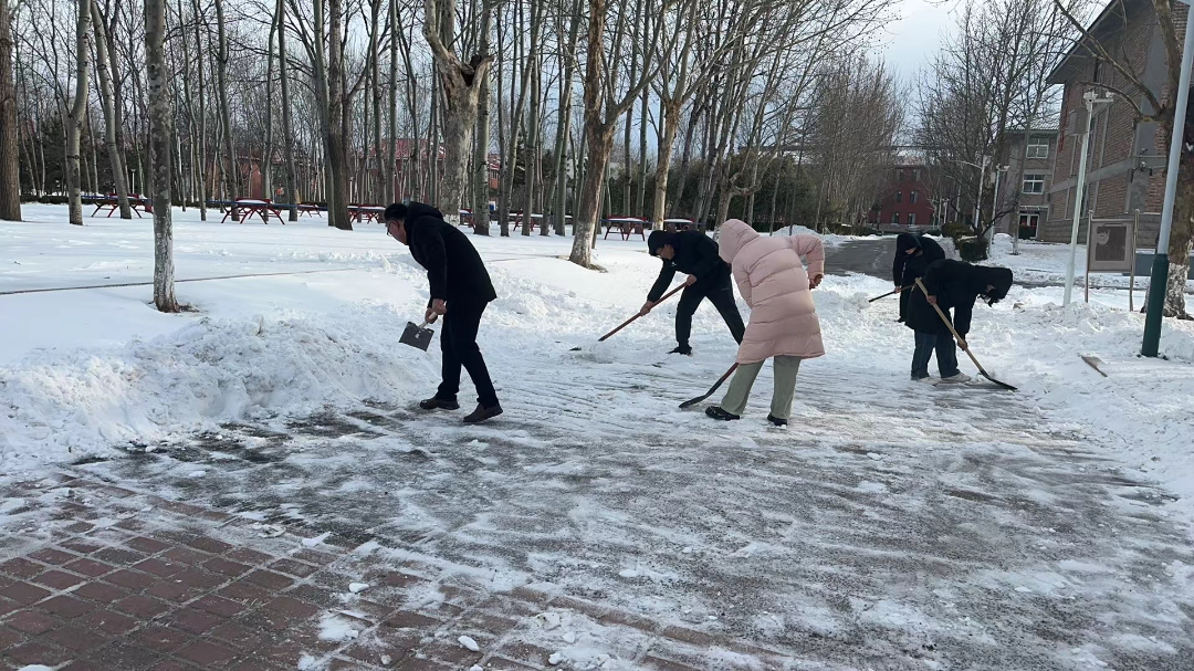 生物与化学工程系扫除积雪保护学生安全.png