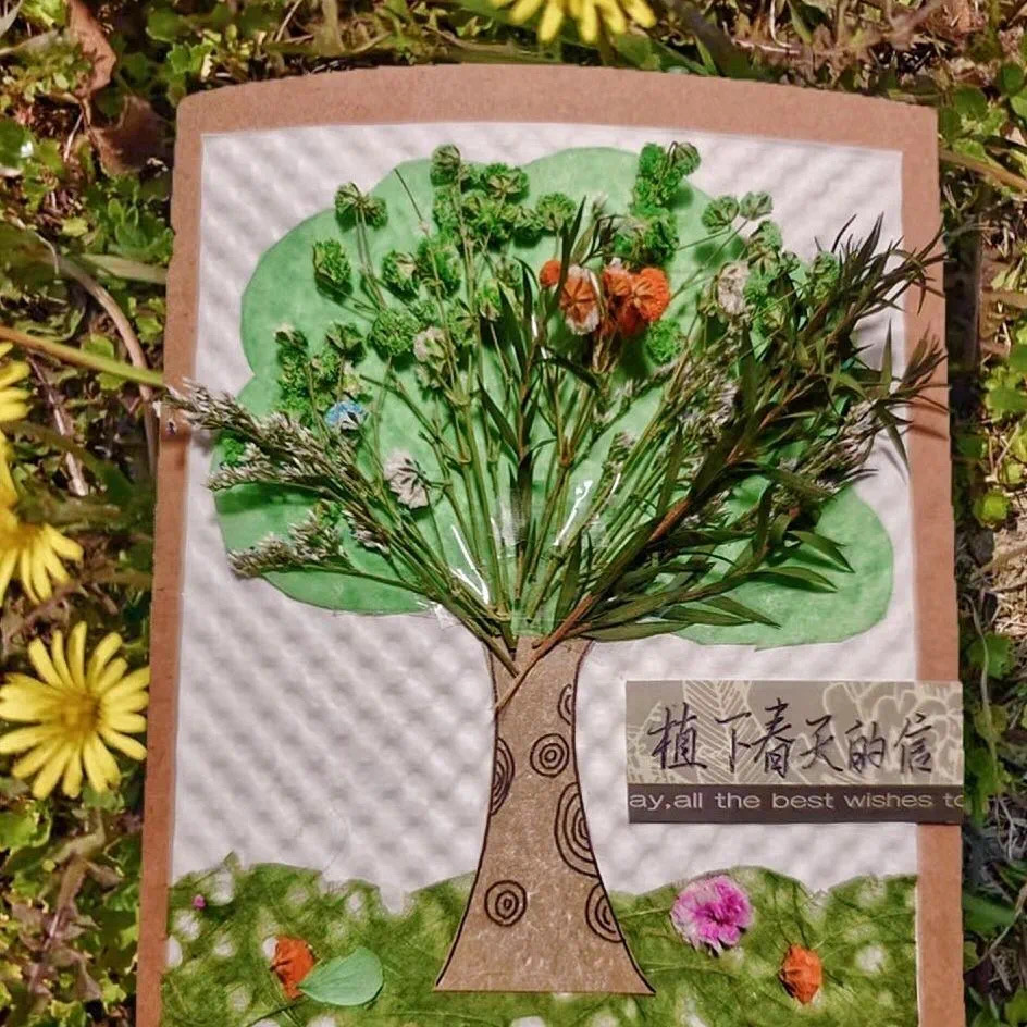 微信图片_202503262256461.jpg