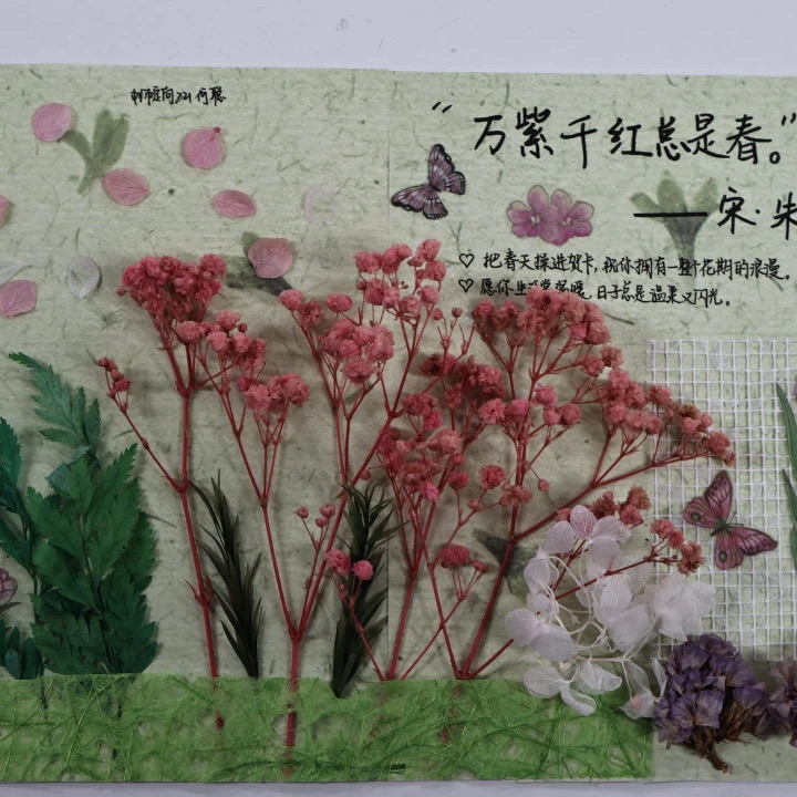 微信图片_202503262256471.jpg